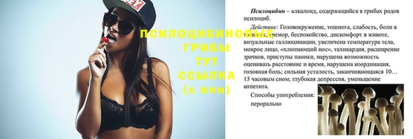 Альфа ПВП Баксан