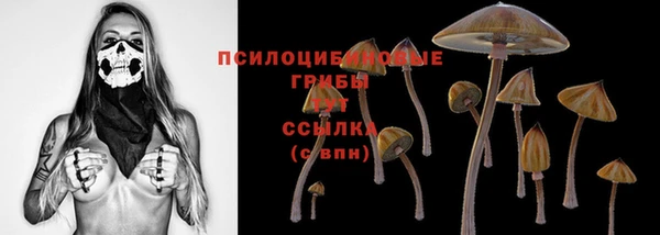 прущий лед Россошь