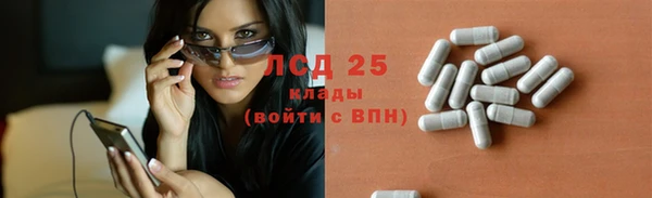 мяу мяу мука Аркадак
