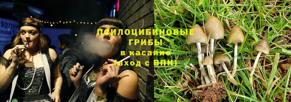 дмт Арсеньев