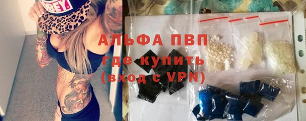 мяу мяу мука Аркадак