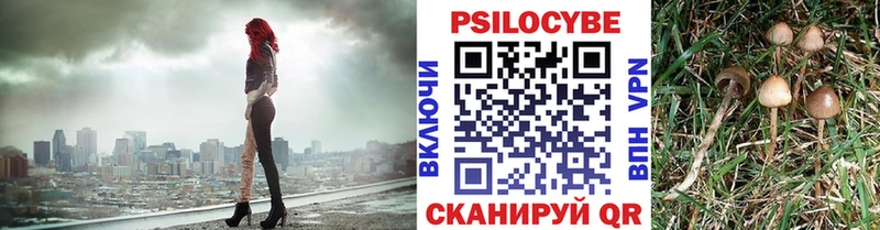 Галлюциногенные грибы Psilocybine cubensis купить наркотики сайты Нея
